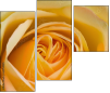 64954045
