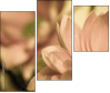 65771321