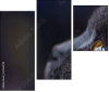 67261784
