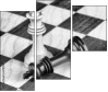 67855650