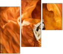 68781470