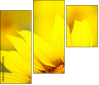 70553705