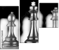 71260349