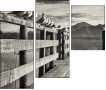 72072664