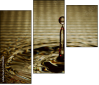 73056406