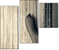 75167527