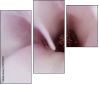 75397074