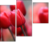 76096373