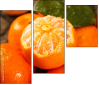 76269627