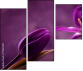 79035921