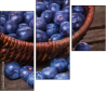 79175349