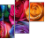 913577319