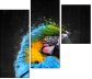 92474854