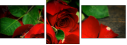 100197651