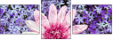 100402580