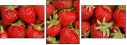 106091