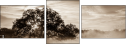 110890468
