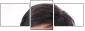 11425626