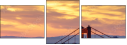 115585568