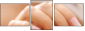 12285447