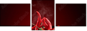 128050232