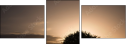 12824329