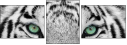 13468757