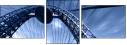 13637582