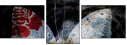 139107091