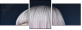 139671256