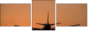 1443651