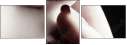 14474468