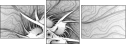 144787196
