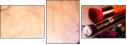 145026645
