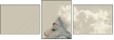 147970794