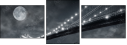 15676398