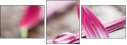 15999770