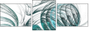 163642561