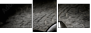 16438072