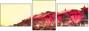 16482006