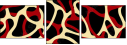 20655460