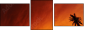 20708520