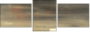 21155951
