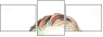 212484110