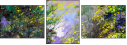 21292882
