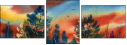 21416114
