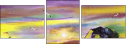 21417416
