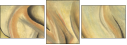 21450824