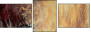 21581087