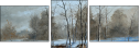 21605246